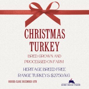 Christmas Turkey